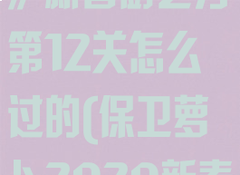 《保卫萝卜4》新春厨艺秀第12关怎么过的(保卫萝卜2020新春活动)