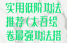 《太吾绘卷》实用低阶功法推荐(太吾绘卷最强功法搭配2020)