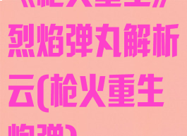 《枪火重生》烈焰弹丸解析云(枪火重生炮弹)