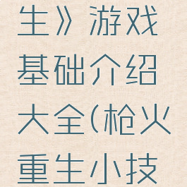 《枪火重生》游戏基础介绍大全(枪火重生小技巧)