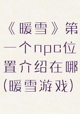 《暖雪》第一个npc位置介绍在哪(暖雪游戏)