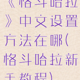 《格斗哈拉》中文设置方法在哪(格斗哈拉新手教程)