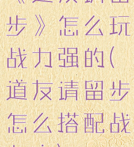 《道友请留步》怎么玩战力强的(道友请留步怎么搭配战力高)