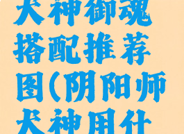 《阴阳师》犬神御魂搭配推荐图(阴阳师犬神用什么御神)