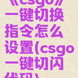 《csgo》一键切换指令怎么设置(csgo一键切闪代码)