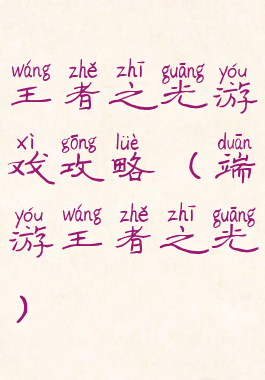 王者之光游戏攻略(端游王者之光)