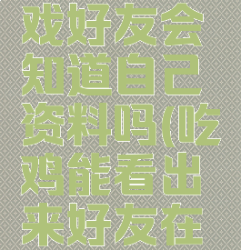 玩吃鸡游戏好友会知道自己资料吗(吃鸡能看出来好友在跟谁玩吗)