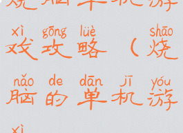 烧脑单机游戏攻略(烧脑的单机游戏)