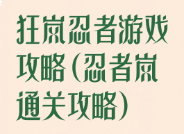 狂岚忍者游戏攻略(忍者岚通关攻略)