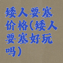 矮人要塞价格(矮人要塞好玩吗)