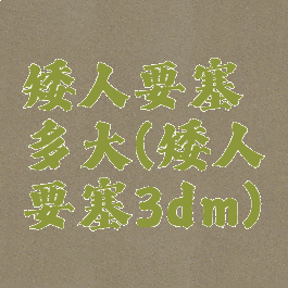 矮人要塞多大(矮人要塞3dm)