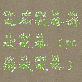 电脑攻略游戏攻略(pc游戏攻略)