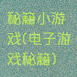 秘籍小游戏(电子游戏秘籍)