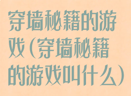 穿墙秘籍的游戏(穿墙秘籍的游戏叫什么)