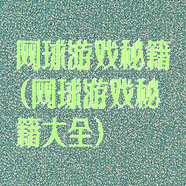 网球游戏秘籍(网球游戏秘籍大全)