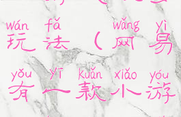 网易有一款小游戏很多玩法(网易有一款小游戏很多玩法叫什么)