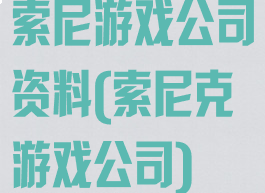 索尼游戏公司资料(索尼克游戏公司)