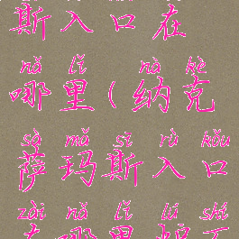 纳克萨玛斯入口在哪里(纳克萨玛斯入口在哪里炉石)