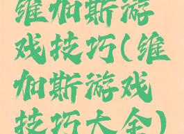 维加斯游戏技巧(维加斯游戏技巧大全)