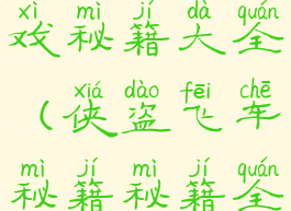 侠盗飞车游戏秘籍大全(侠盗飞车秘籍秘籍全部)