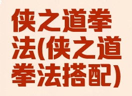 侠之道拳法(侠之道拳法搭配)