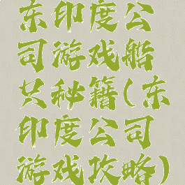 东印度公司游戏船只秘籍(东印度公司游戏攻略)