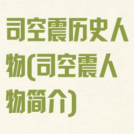 司空震历史人物(司空震人物简介)