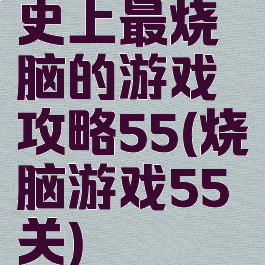 史上最烧脑的游戏攻略55(烧脑游戏55关)