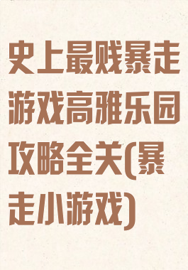 史上最贱暴走游戏高雅乐园攻略全关(暴走小游戏)