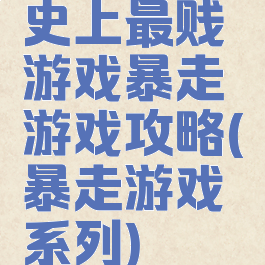 史上最贱游戏暴走游戏攻略(暴走游戏系列)