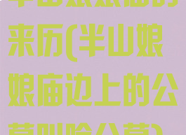 半山娘娘庙的来历(半山娘娘庙边上的公墓叫啥公墓)