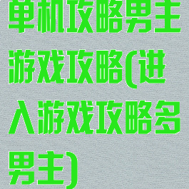 单机攻略男主游戏攻略(进入游戏攻略多男主)