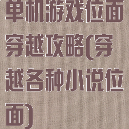 单机游戏位面穿越攻略(穿越各种小说位面)