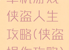 单机游戏侠盗人生攻略(侠盗操作攻略)