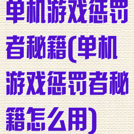 单机游戏惩罚者秘籍(单机游戏惩罚者秘籍怎么用)
