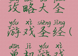 单机游戏攻略大全游戏圣经(单机游戏攻略网)