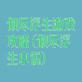 倾尽浮生游戏攻略(倾尽浮生小说)