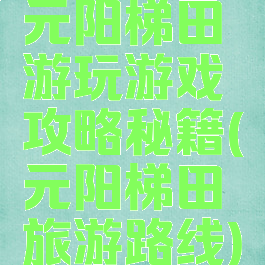 元阳梯田游玩游戏攻略秘籍(元阳梯田旅游路线)