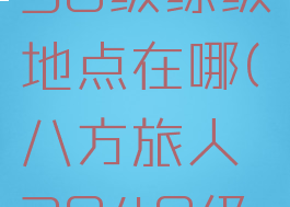 八方旅人30级练级地点在哪(八方旅人3040级最佳刷级)