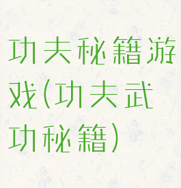 功夫秘籍游戏(功夫武功秘籍)