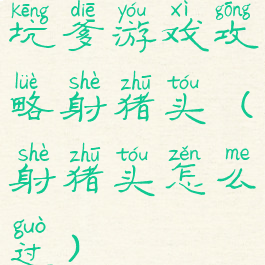 坑爹游戏攻略射猪头(射猪头怎么过)