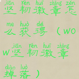 坚韧徽章怎么获得(wow坚韧徽章掉落)