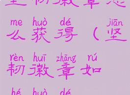 坚韧徽章怎么获得(坚韧徽章如何获得)