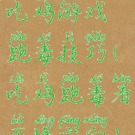 吃鸡游戏跑毒技巧(吃鸡跑毒看不懂方向)