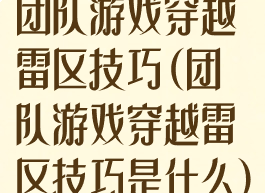 团队游戏穿越雷区技巧(团队游戏穿越雷区技巧是什么)