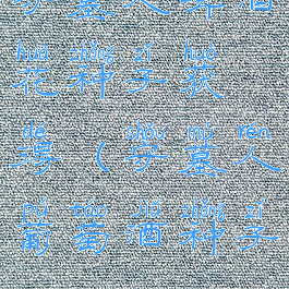 守墓人啤酒花种子获得(守墓人葡萄酒种子)