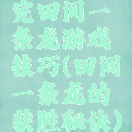 完田间一条龙游戏技巧(田间一条龙的获胜秘诀)
