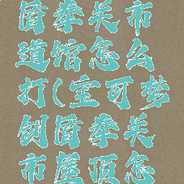 宝可梦剑盾拳关市道馆怎么打(宝可梦剑盾拳关市屋顶怎么去)