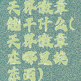 天界徽章能干什么(天界徽章在哪里换东西)