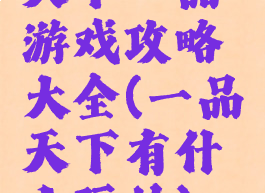天下一品游戏攻略大全(一品天下有什么玩的)